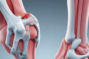 Orthopedic Treatment Options for Knee Osteoarthritis