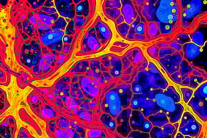 Cellular Pathology Lectures 11 and 12