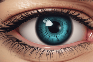 Contact Lens Handling and Care