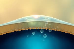 Cell Membrane Structure and Functions Quiz