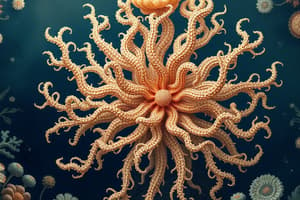 Marine Invertebrates Quiz