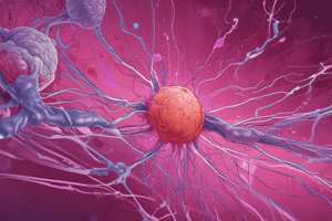 Stages of Cancer Metastasis