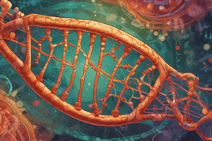 Mitochondrial DNA Structure and Function