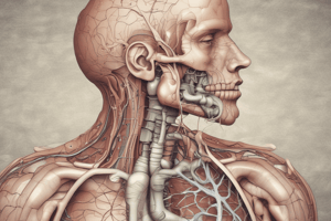 Physiology of Respiratory System