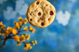 Cookies and Data: Google Services