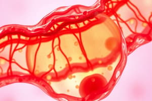 Cell Structure and Function Quiz