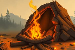 Fire Lighting Techniques Quiz