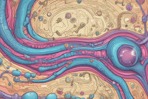 Goodman & Gilman's: Chapter 25 - Renal Excretory Function Quiz