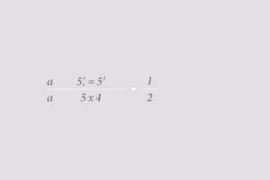 Calculus: The Integral and Riemann Sums