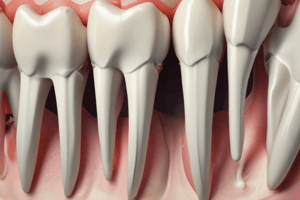 Tooth Formation Stages Quiz