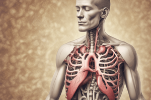 Pharmacology: Drugs Affecting the Respiratory System