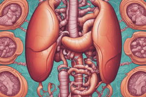 Hormones of Digestion