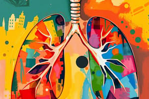 Breathing Frequency & Lung Volumes Quiz