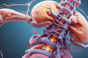 Factors limiting spinal rotation