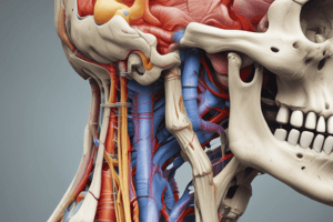 Anatomy of Head and Neck: Mastication, TMJ, and Swallowing