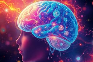 Teenage Brain Development Quiz