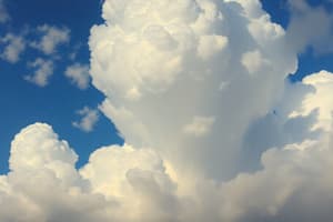 Clasificación de Nubes y Formación Climática