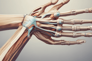 Ulnar Nerve Entrapment Syndromes in Elbow and Forearm