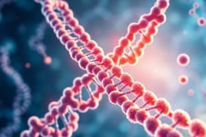 Biology Chapter: Nucleic Acids Overview