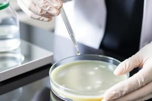 Agar Plate Preparation Procedure