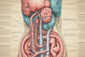 Terminology of Upper GI Tract