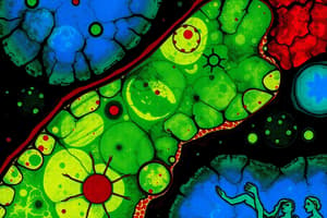 Méthodes d'études de la cellule II