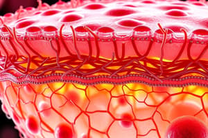 Membrane Biologiche e Eucariotiche