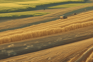 Barley Crop Management and Production