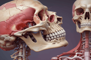 Musculoskeletal Pathology: Ewing Sarcoma