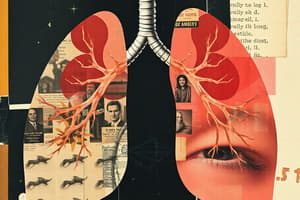 Respiratory System Overview