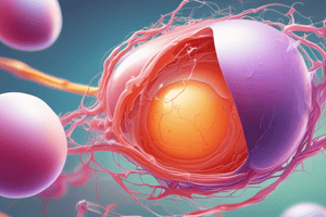 Fertilization Process Overview