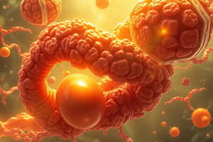 Biochemistry: Fatty Acid Metabolism