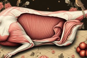 Meat and Poultry Composition & Muscle Structure