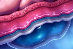 BMS Epithelium