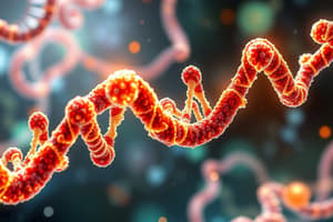 Nucleic Acids and DNA