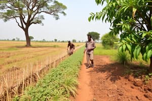 Land Tenure and Agriculture in Nigeria