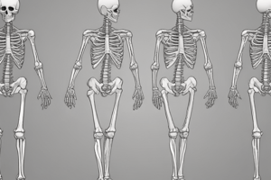 GHJ STANDING/SITTING