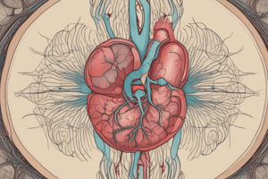 Anatomy of the Kidneys and its nephrons