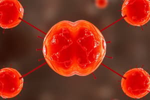 Cell Division and Mitosis Overview