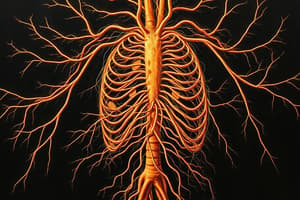 Human Nervous System Overview