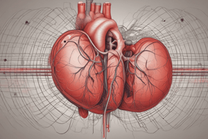 Cardiovascular System: Heart and Pericardium