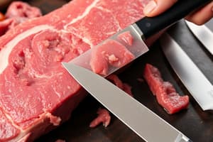 307 Lab Review: Meat Inspection Basics