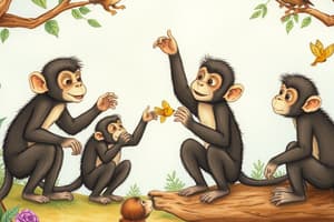 Introduction to Monkeys