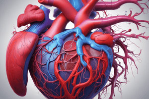 The Cardiovascular System: The Heart Anatomy Quiz