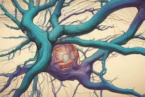 Neuron to Neuron Communication