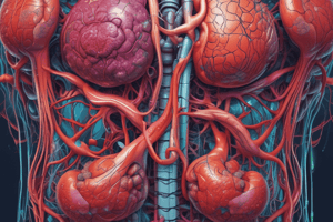 Comparison of Nervous and Endocrine System, Muscle Physiology