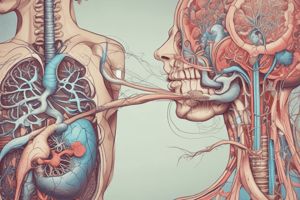 Respiratory System Quiz