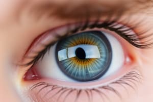 Ophthalmology: Hypermetropia Basics