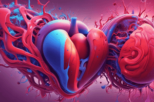 Cardiovascular System and Blood Composition Quiz