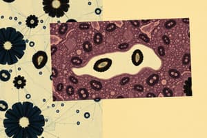 Specimen Preparation Techniques in Histology